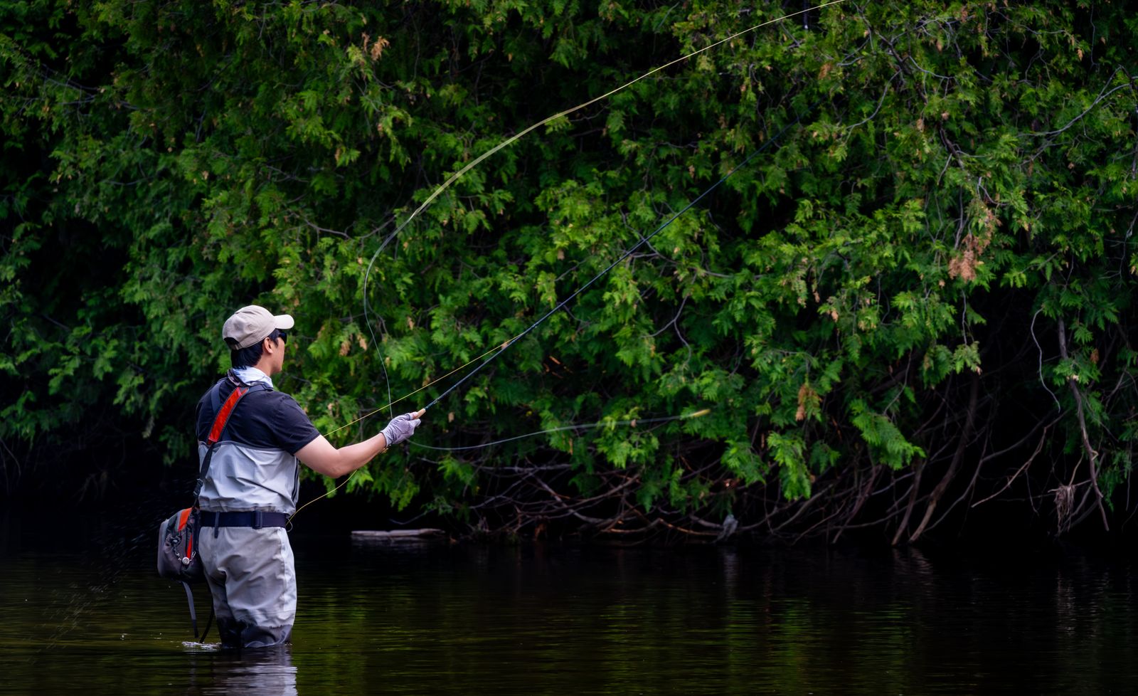 Fly fisherman casting on a river