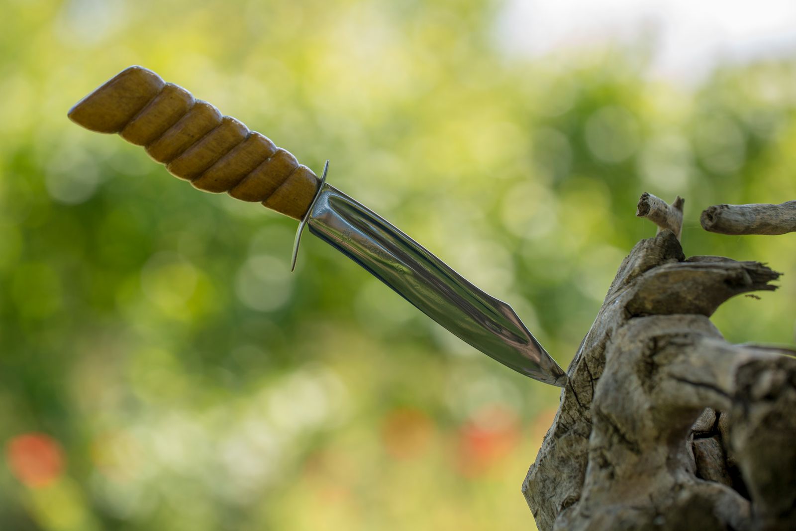 Hunting knife with wooden handle in a tree stump